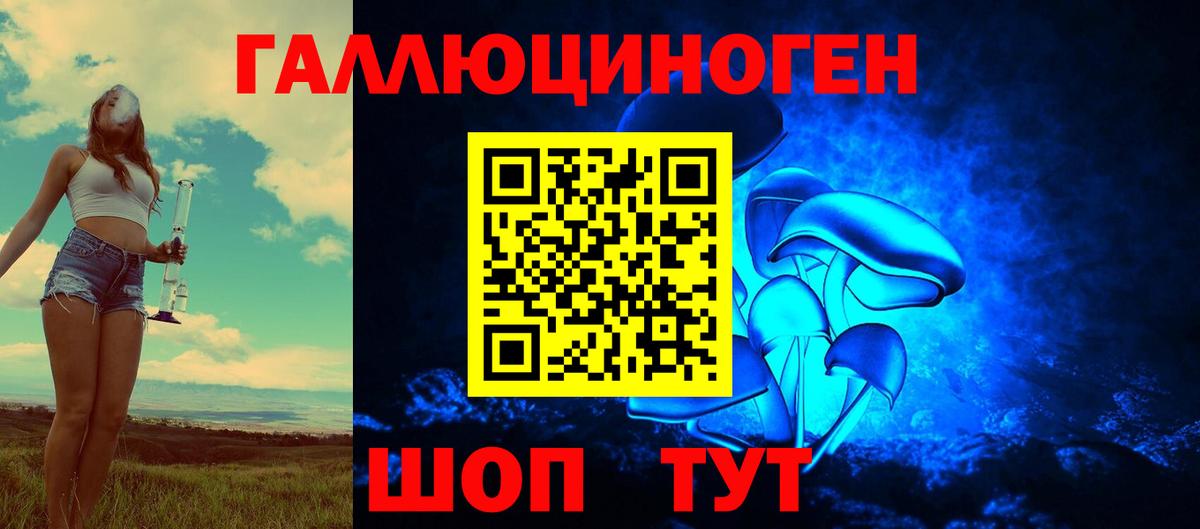 Псилоцибиновые грибы мицелий Тихорецк