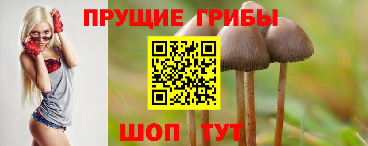 Галлюциногенные грибы Magic Shrooms  что такое   Тихорецк  Вход с VPN 